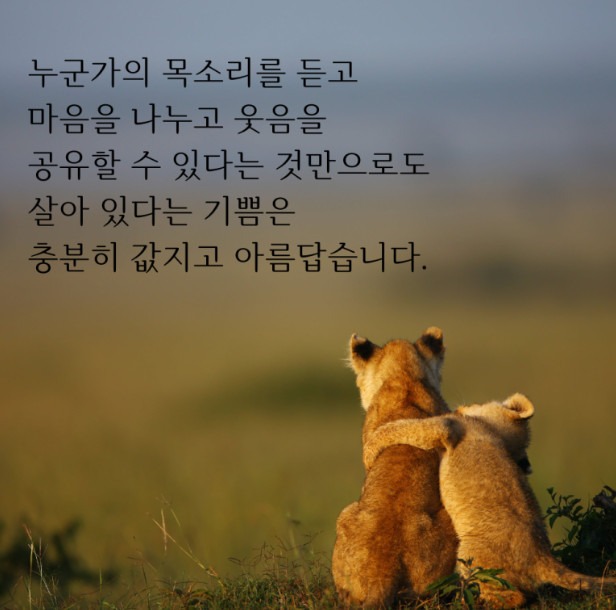 공유.jpg