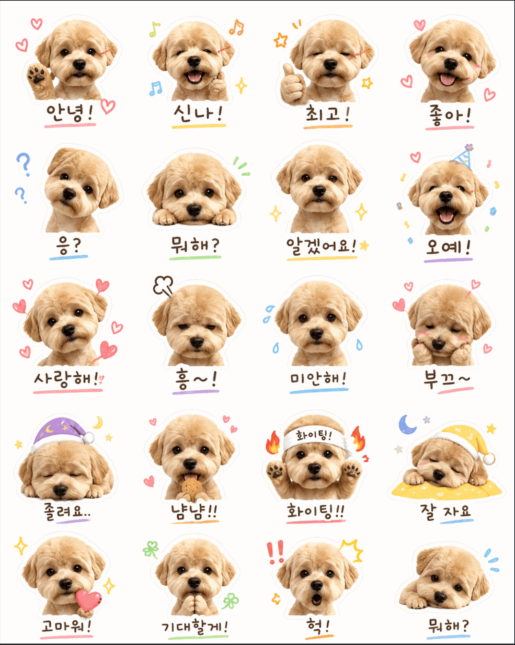 이모티콘.gif